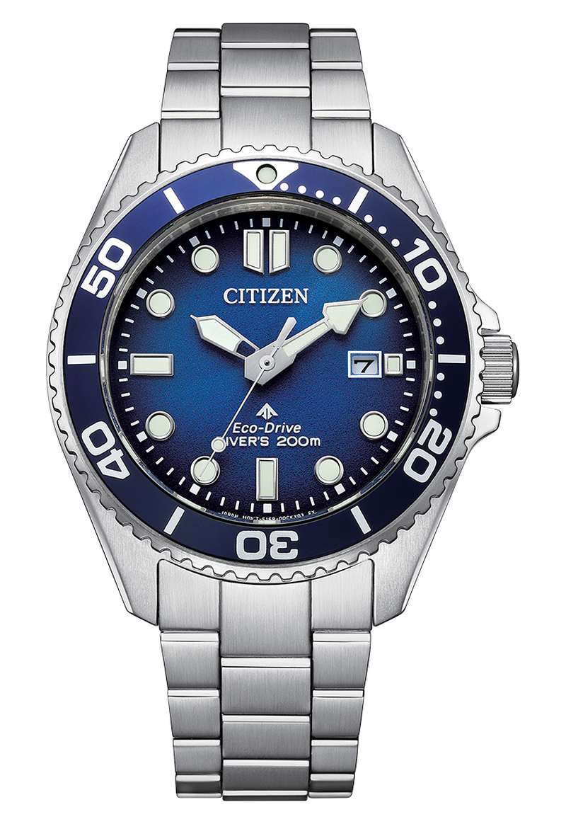 Citizen Promaster (BN0260-54L)