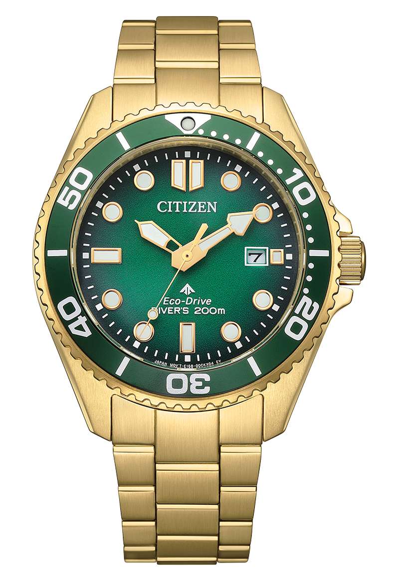 Citizen Promaster (BN0262-59W)