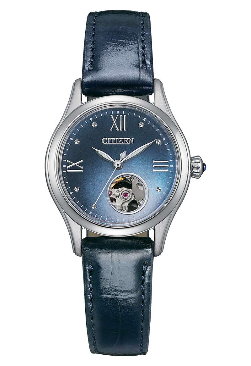 Citizen Mechanical (PR1041-18N)